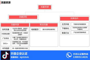 抖音運營人氣提升策略與專業(yè)咨詢支持